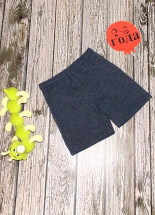 Фірмові шорти bluezoo для хлопчика 2-3 роки. 92-98 см