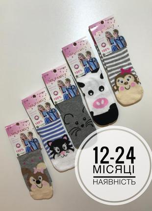 Шкарпетки для дівчинки