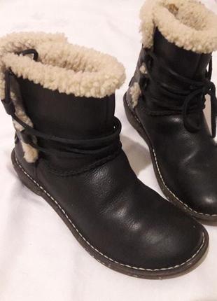 Сапоги ugg, кожанные, утеплитель овчина1 фото