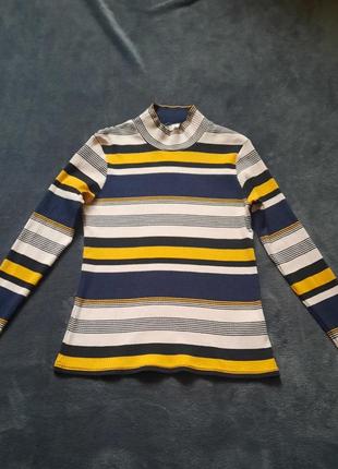 Гольф, водолазка, лонгслів у смужку