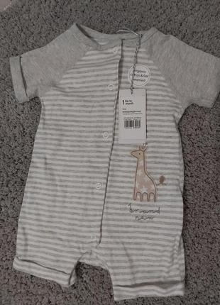 Писочник боди