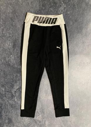 Спортивные штаны женские puma