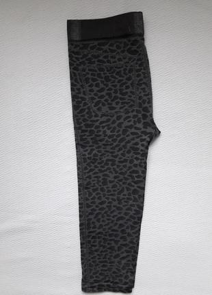 Щільні капронові легінси бриджі у леопардовий принт bt-style4 фото