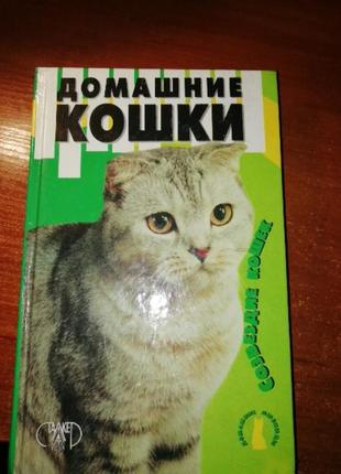 Книга "домашние кошки" наташа крылова1 фото