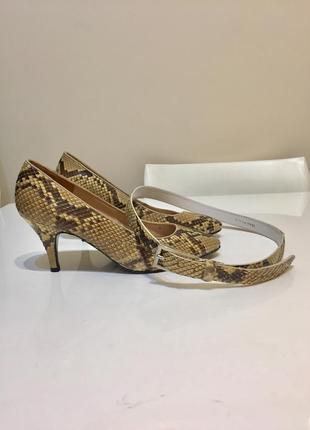 Комплект-кожа змеи рептилии туфли с ремнём