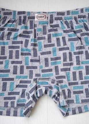 Трусы мужские семейные шорты doremi хлопок турция серый с синими прямоугольниками 2 м 46
