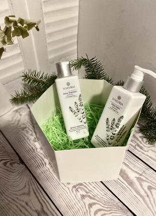 Шампунь та бальзам для волосся