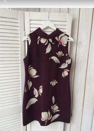 Сукня oasis 12/40/l