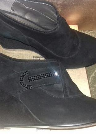 Туфлі berloni