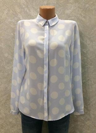 Рубашка блуза в горох papaya