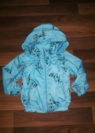 Яркая берюзовая ветровочка