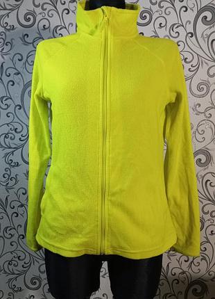 Флиска жеанина