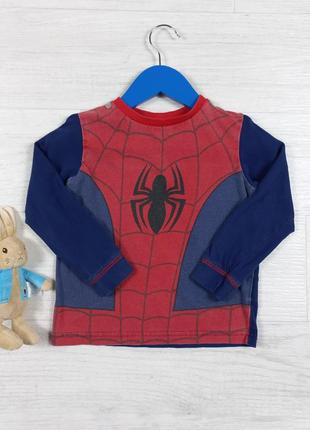 Кофта детская marvel spider man