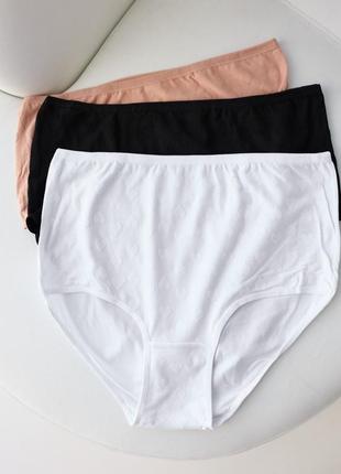 Жіночі трусики висока посадка високі николетта женские трусы высокая ...