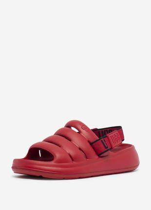 Яскраві чоловічі сандалі ugg