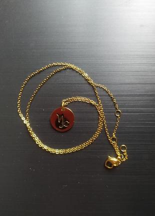 Знак зодиака козерог подвеска цепочка из нержавеющей стали золото серебро чокер колье кулон2 фото