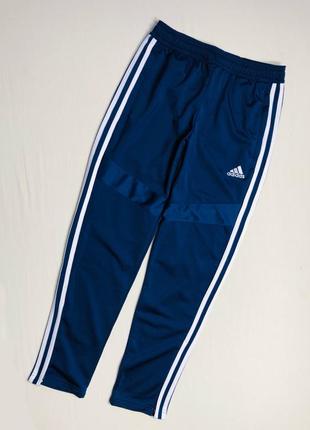 Спортивные брюки adidas1 фото