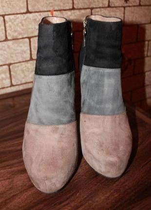 Замшевые стильные ботильоны echell