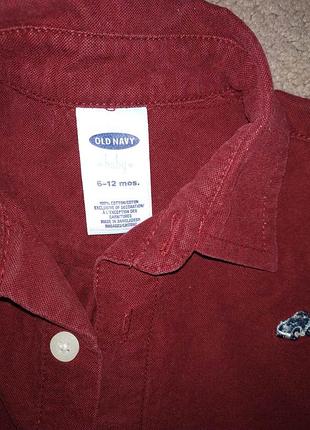 Фірмова сорочка для модника