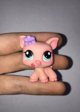 Lps littlest pet shop поросёнок оригинал