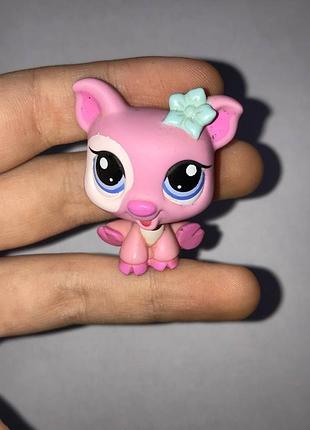 Lps littlest pet shop поросёнок оригинал