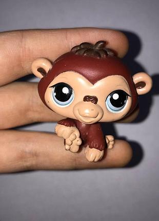 Lps littlest pet shop обезьяна оригинал