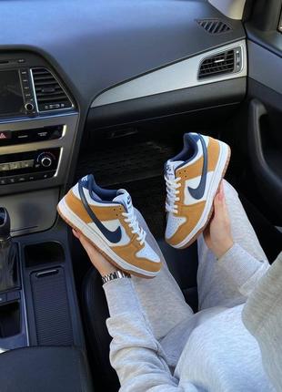 Nike dunk low pro