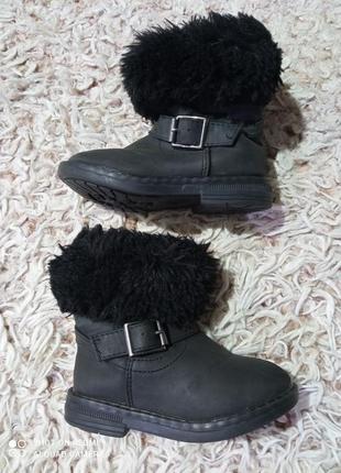 Сапоги демисезонные