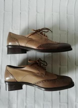 Броги, туфлі на шнурках з натуральної шкіри-люкс. італія - lario 18983 фото