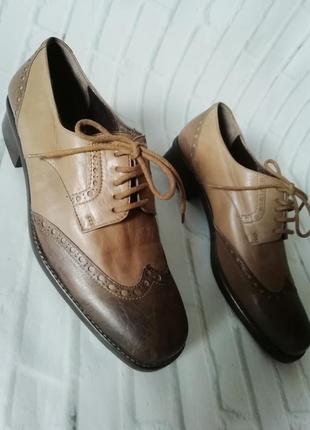 Броги, туфли на шнурках из натуральной кожи-люкс. италия - lario 18989 фото