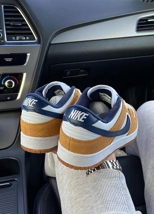 & nike dunk low pro 6
