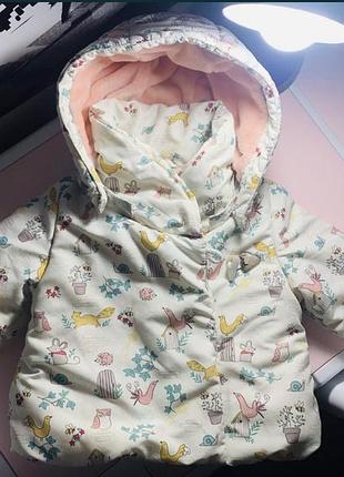 Демі курточки на дівчинку)