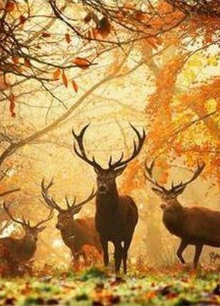Алмазна вишивка "олені в осінньому лісі", осінь, полювання, повна викладка, мозаїка 5d, набори 30х40 см