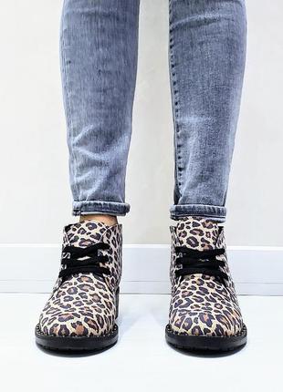 Найзручніші леопардові  шкіряні (нубук) демі черевики desert в наявності та під відшив💙💛🏆3 фото