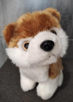 М'яка іграшка собака, пес, цуценя, цуцик, собачка акіта 27 см.