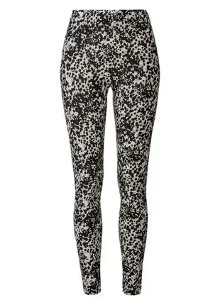 Хлопковые лосины esmara s m леггинсы эсмара