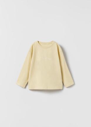 Базовый однотонный реглан zara