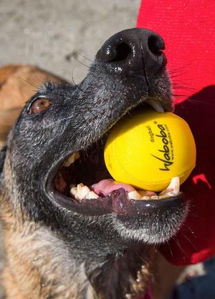 М'яч для гри з собакою "waboba fetch"4 фото