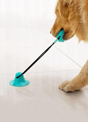 На присоске игрушка hoopet ws07 blue для домашних животных