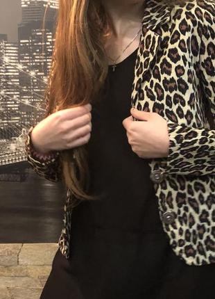 Леопардовый костюм брючный1 фото