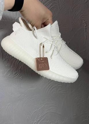 Кроссовки adidas yeezy boost 3508 фото