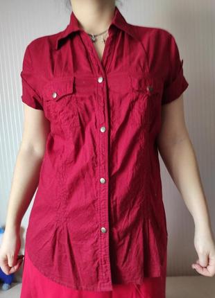 Натуральна блуза, сорочка steve ketell