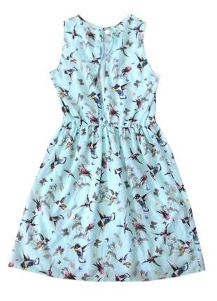 Нарядное голубое платье с вырезом на спине zara оригинал принт птицы3 фото