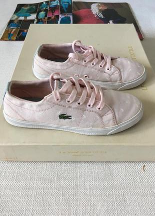 Lacoste кеды💕💕💕p335 фото