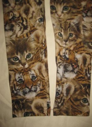 4-5 лет, очень милые штанишки лосины с котиками для девочки от н &amp; m4 фото