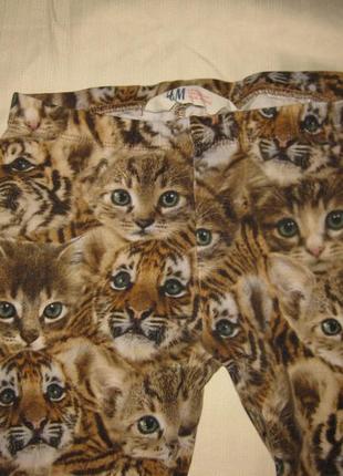 4-5 лет, очень милые штанишки лосины с котиками для девочки от н &amp; m2 фото
