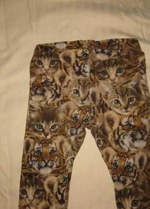 4-5 лет, очень милые штанишки лосины с котиками для девочки от н &amp; m5 фото
