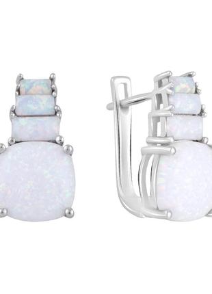 Срібні сережки з опалом 4.165ct (2113737)