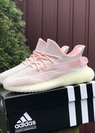 Жіночі кросівки adidas yeezy 350 v2