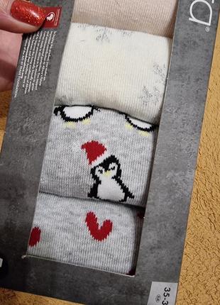 Жіночі шкарпетки, набір жіночих шкарпеток 5 пар4 фото